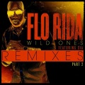 Wild Ones (J.O.B rock rework)