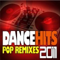 DJ DanceHits - Firework (Remix)