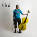 Bird - Kung Fu