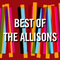 The Allisons - It Doesn't Matter Anymore