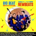 The Newbeats - I Can't Hear You No More
