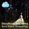 DiscoRocks、Naika - Sure Know Something (Yuriy Poleg Remix)