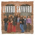 Lynyrd Skynyrd - What's Your Name