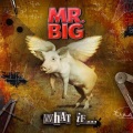 Mr.Big - Undertow