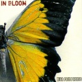 In Bloom - Somewhere