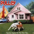pulley - In Search