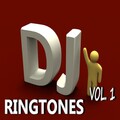 DJ Club Hits 1 - Whip Right