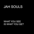 Jah Souls、wailing souls、andrew tosh - What You See Is What You Get