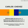 New York Stadium Symphony Orchestra - Sinfonia India