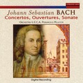 Orchestra U.E.C.A. - Polonaise