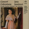 Jana Jonášová - Variation on a Mozart's Theme 