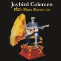 Jaybird Coleman - Gettin' Ready For Trial