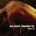 jerry cantrell - S.O.S.