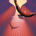 Strange Talk - Picking Up All The Pieces