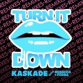 Turn It Down (Le Castle Vania Remix)