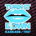 Kaskade、Rebecca、Fiona - Turn It Down