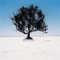 Shiny Toy Guns - Le Disko