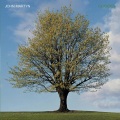 John Martyn - Fine Lines