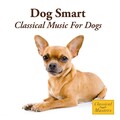 Academy of St. Martin in the Fields - Mozart Sonata For Piano No.1 In A Major