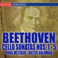 Jorg Metzger - Cello Sonata No. 5 In D Major, Op. 102, No. 2: I. Allegro Con Brio