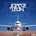 Jorge Leon - Bowerbird