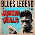 junior wells - Messin' With the Kid