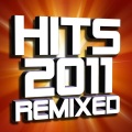 2011 DJ ReMix Factory - Not Afraid (Remix)