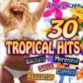 30 Tropical Hits