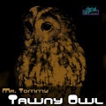 Mr. Tommy - Tawny Owl