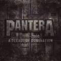 1990-2000 a decade of domination