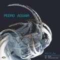 Pedro Aguiar - Noite (Original Mix)