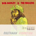 Positive Vibration (Album Version)