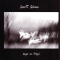 the durutti column - Saudade