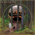 Ensoulment