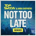 Tom Swoon、Amba Shepherd - Not Too Late