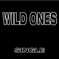 Ultimate Pop Hits! - Wild Ones (Radio Edit)