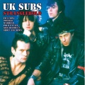 U.K. Subs - Shout You Down