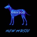X-Ray Dog - Cyberworld