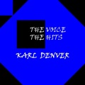 The Voice, The Hits