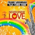 Frank Savannah、Carol Jiani - Never Knew Love 合唱 Carol Jiani (DJ Floy Remix)