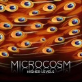 Microcosm - Microcosm (Ultraphoric Spacevibes)