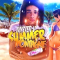 Mister V - Summer Montagne