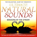 Niall - Ultimate Natural Sounds (Birdsong By the Stream)