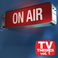 The TV Theme Players - ER