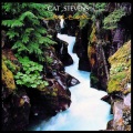 Yusuf / Cat Stevens - Daytime