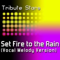 Adele - Set Fire To The Rain (Vocal Melody Version)