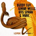 junior wells、Buddy Guy、Otis Spann - You Don't Care