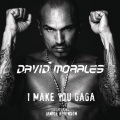 I Make You Gaga (Edited Mix)