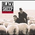 A Wolf in Sheep's Clothing
