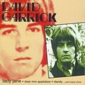 David Garrick - I've Been Lovin' You Too Long